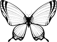 Butterfly Silhouette 11