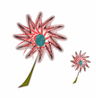 Spiralflower