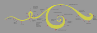 swirl anatomy