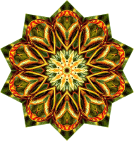Lacertilia 2