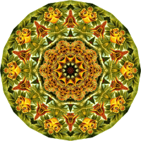 Lacertilia 4