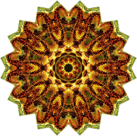 Lacertilia 14