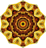 Lacertilia 13