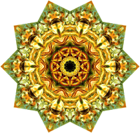 Lacertilia 15