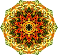 Lacertilia 16