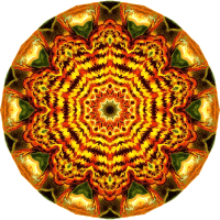 Lacertilia 17