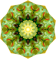 Orchidae 1