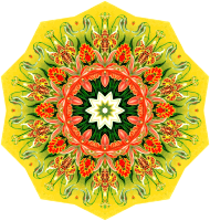 Orchidae 6
