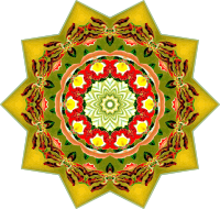 Orchidae 8