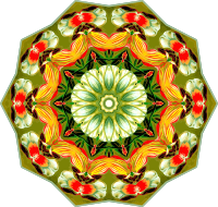 Orchidae 9