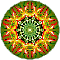 Orchidae 10