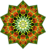 Orchidae 12