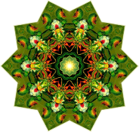 Orchidae 18