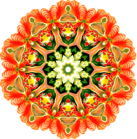 Orchidae 21