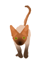 Devon Rex