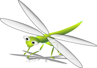 libellule