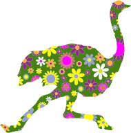 Retro Floral Running Ostrich