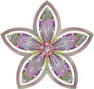 Organic Floral Star