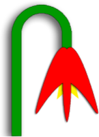 Dying flower