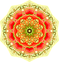 Nepenthaceae 1