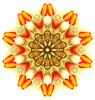 Nepenthaceae 2