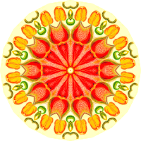 Nepenthaceae 5