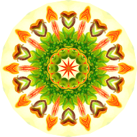 Nepenthaceae 8
