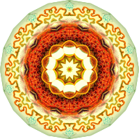 Nepenthaceae 10