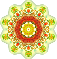 Nepenthaceae 12