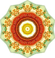 Nepenthaceae 11