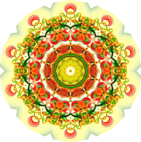 Nepenthaceae 13