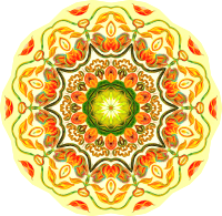 Nepenthaceae 14