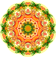 Nepenthaceae 16