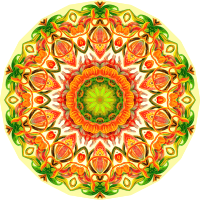 Nepenthaceae 15