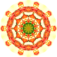 Nepenthaceae 17