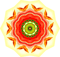 Nepenthaceae 19