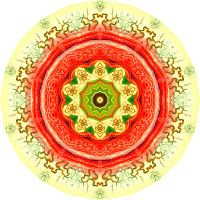 Nepenthaceae 20
