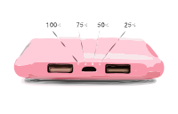 Battery Charger