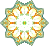Bryozoa 8