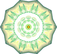 Bryozoa 9