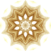 Crinoidea 10