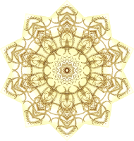 Crinoidea 1
