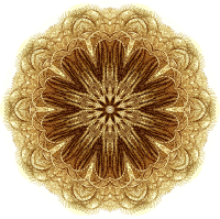 Crinoidea 3
