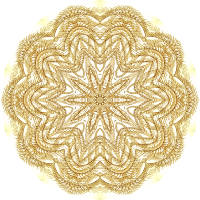 Crinoidea 6