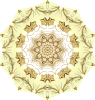 Crinoidea 13