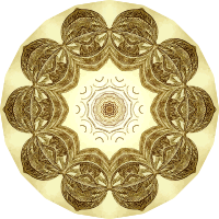 Crinoidea 17