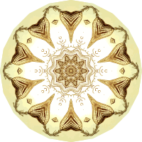 Crinoidea 14