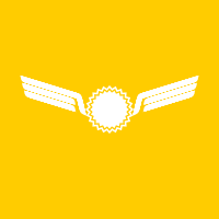 parametric wings