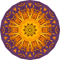 Discomedusae 21