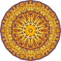 Discomedusae 23